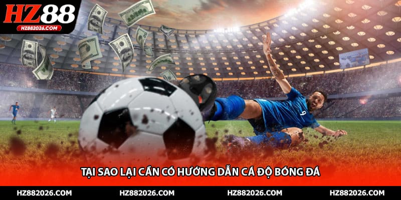 Tại sao lại cần có hướng dẫn cá độ bóng đá